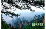 【純玩獨立成團線路1】張家界、袁家界、天子山、寶峰湖/黃龍洞二晚三日
