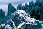 【純玩散拼線路17】張家界、天子山、芙蓉鎮、猛洞河漂流、鳳凰古城三晚四日游