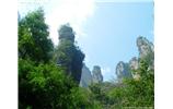 【純玩拼團(tuán)線路 張家界出發(fā)A2線】張家界、袁家界、天子山、金鞭溪、鳳凰古城2晚3日游